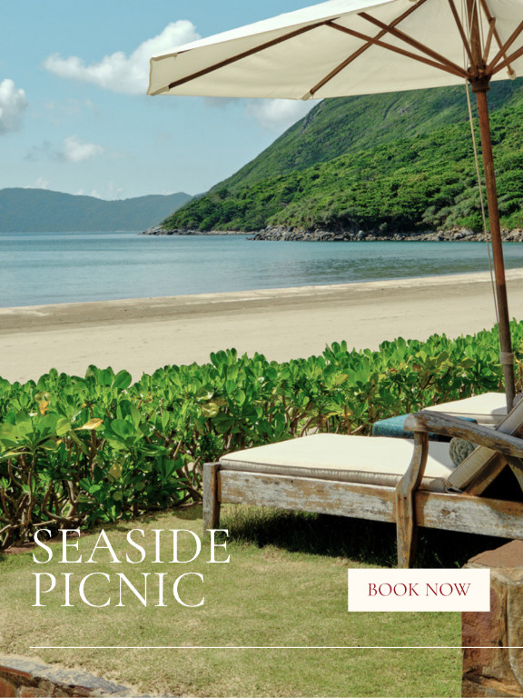 picnic-3